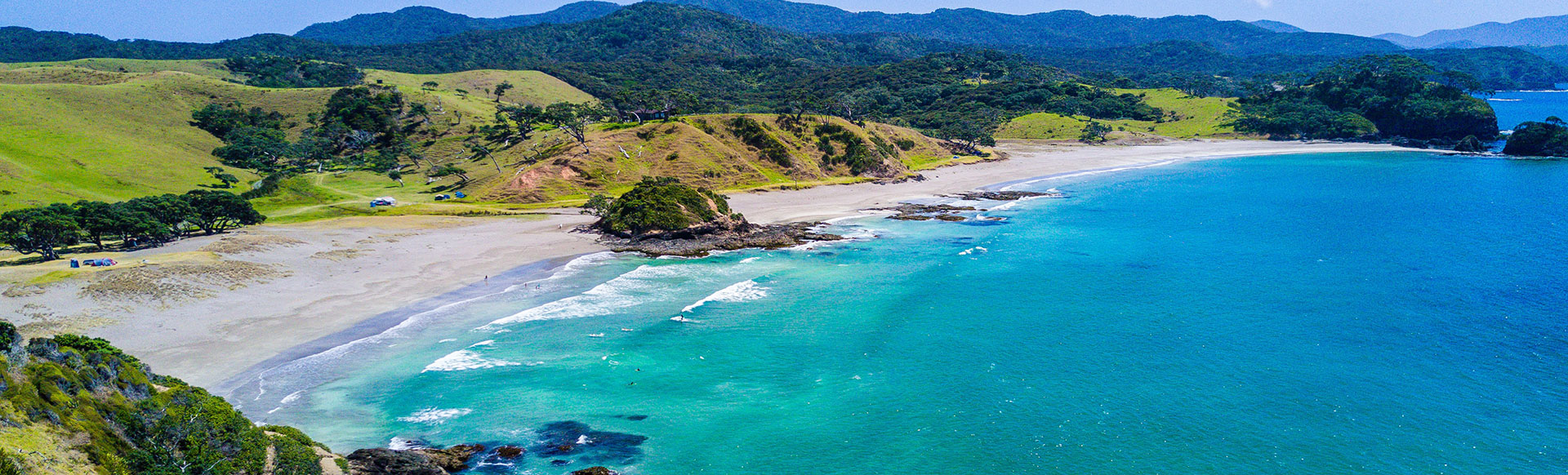 /content/images/big-tauranga.jpg