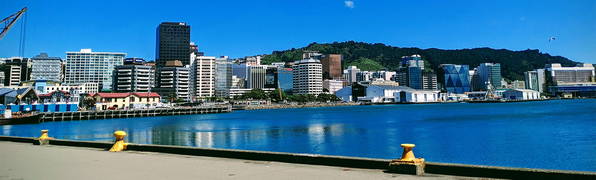 /content/images/big-wellington.jpg